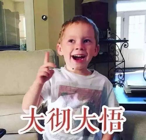 以前的网红表情包,那些年我们一起追过的网红表情包