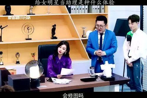 明星的助理是做什么的,幕后操盘手的日常职责与挑战