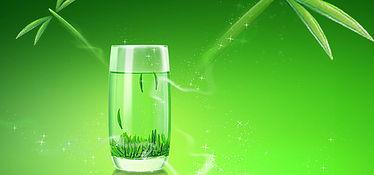 绿茶背景音乐,绿茶旋律下的宁静时光